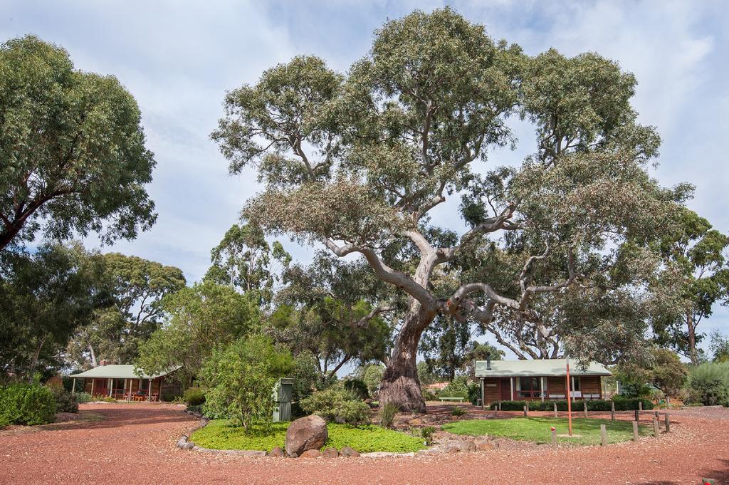 Southern Grampians Cottages Dunkeld Esterno foto