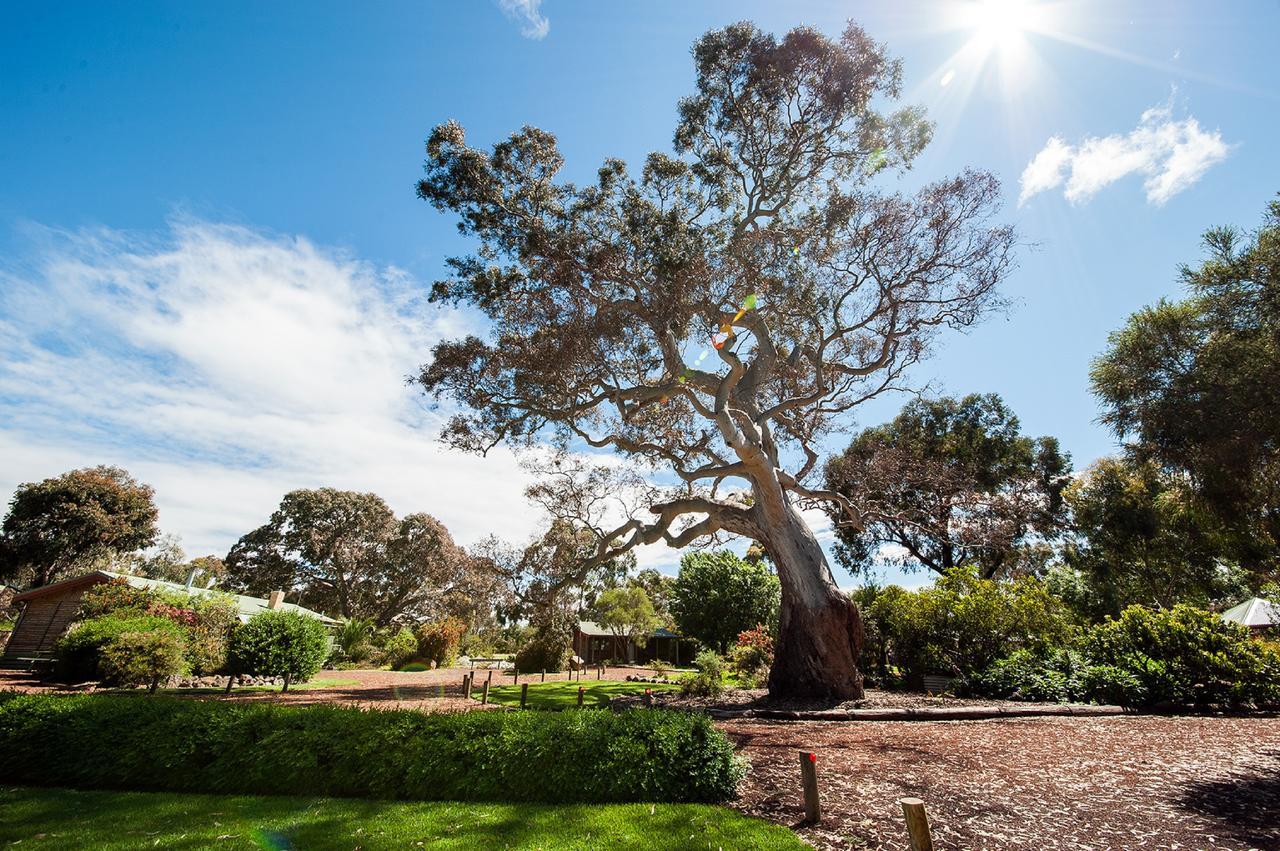 Southern Grampians Cottages Dunkeld Esterno foto
